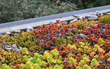 the cost of Wetheral green roof installation