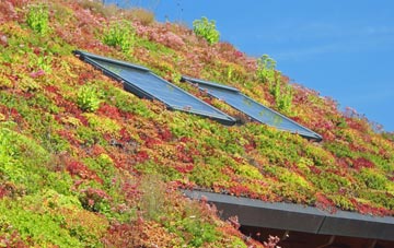 Wetheral living roof systems